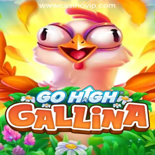 Exploring the Exciting World of GoHighGallina: The Premier Casino Experience